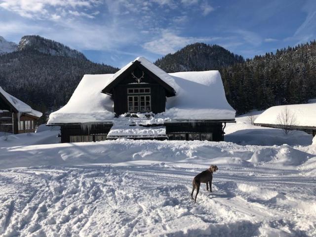 Die Alte Blaa Altaussee Exterior photo