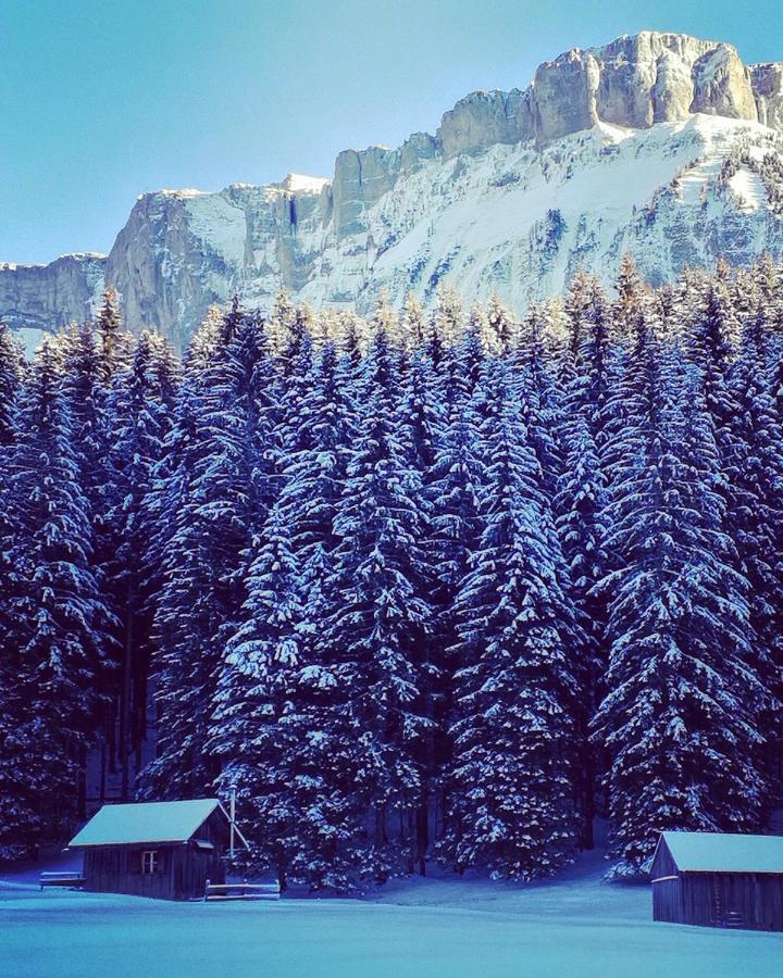 Die Alte Blaa Altaussee Exterior photo